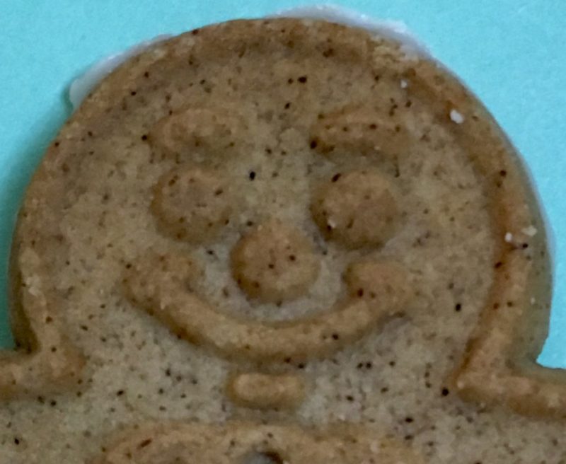 Close-up of gingerbread cookie face.