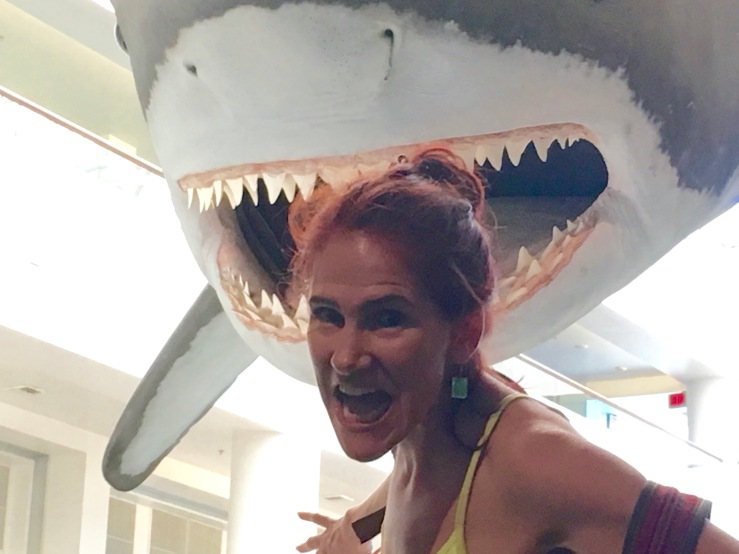 A San Diego’s museum shark threatens to bite my head off, but I'm fiercer!