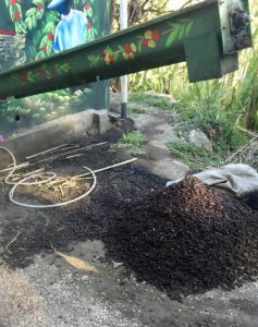 Coffee remains get composted