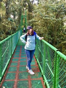 Hanging bridges like this one let you view the cloud forest from up high.