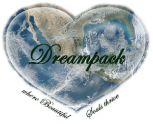 This post by Patty of DreamPack.org