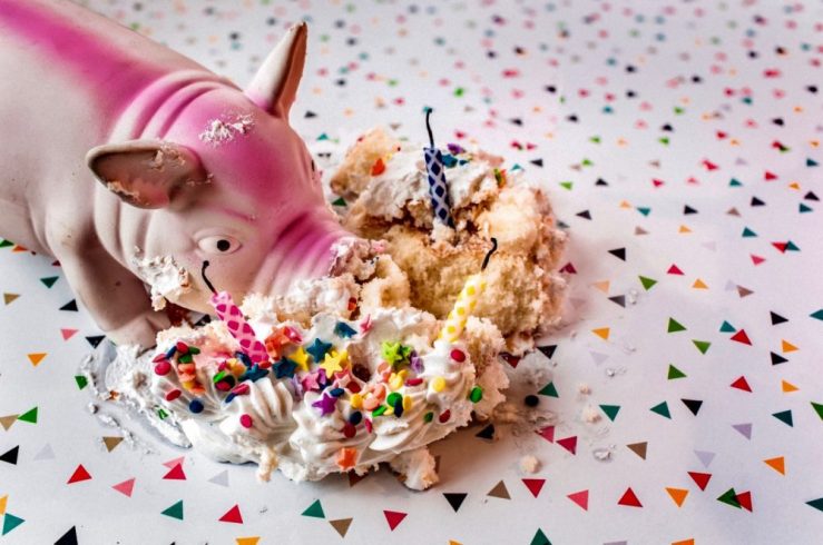 Photo of toy pig pigging out in a colorful cupcake