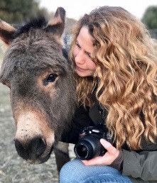 photo of Roda & donkey