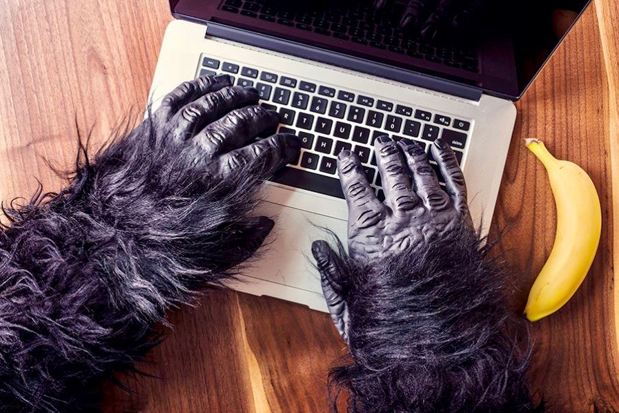 grorilla hands on a laptop next to banana