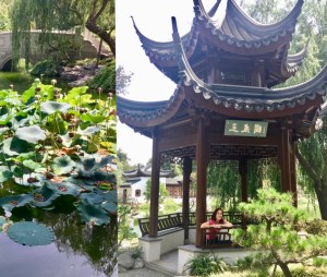 The Huntington Chinese garden and da-Al under pagoda