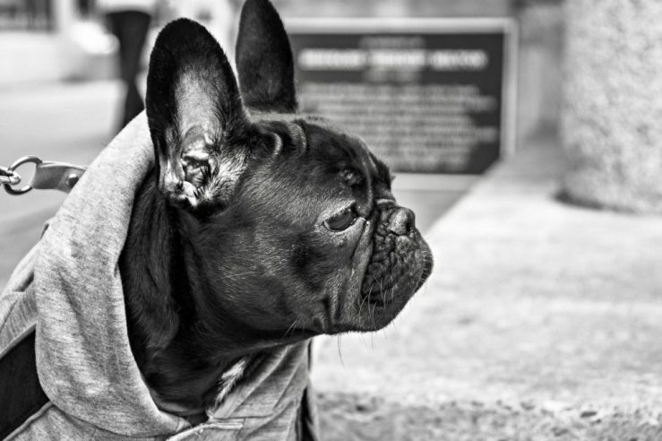 Photo by Ryan McGuire