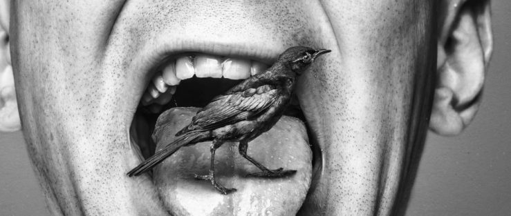 Cropped black and white photo of man with a bird in his mouth by Ryan McGuire of Gratisography