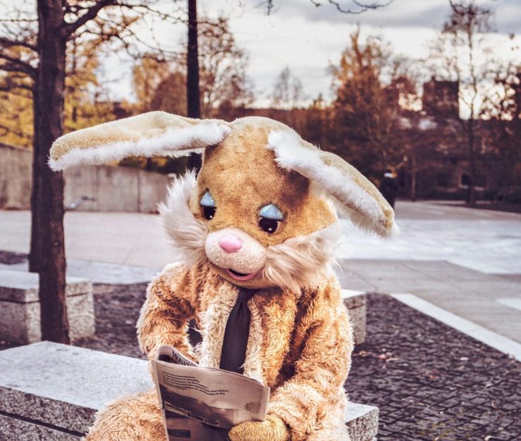 Bunny rabbit outfitted person reads paper.