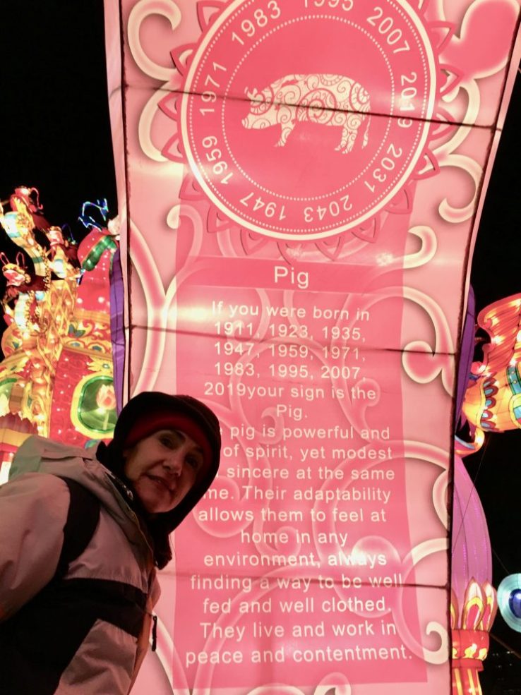 da-AL in front of lighted Chinese astrology banner
