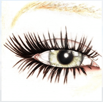 Looking for the Light blog avatar logo