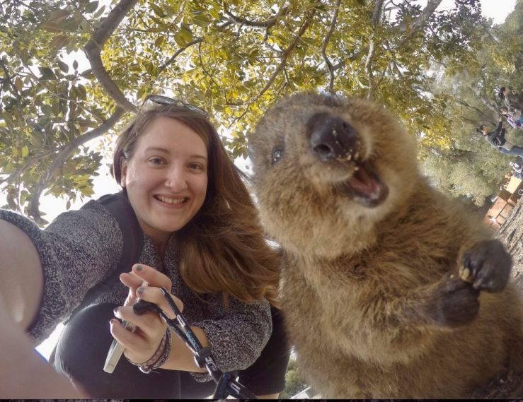 Katrina’s travel buddy, Rachel, enjoys a selfie with a quokka. 