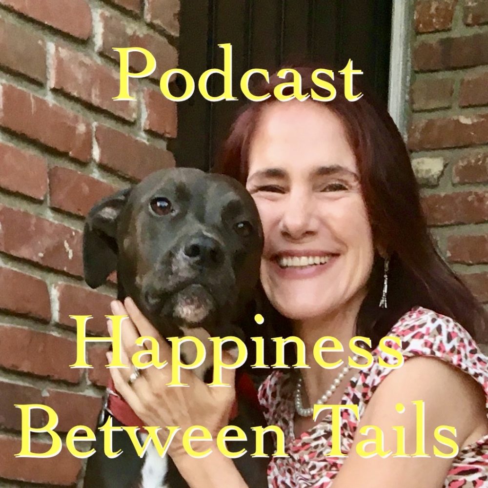 Podcast photo of da-AL with K-D for Happiness Between Tails.
