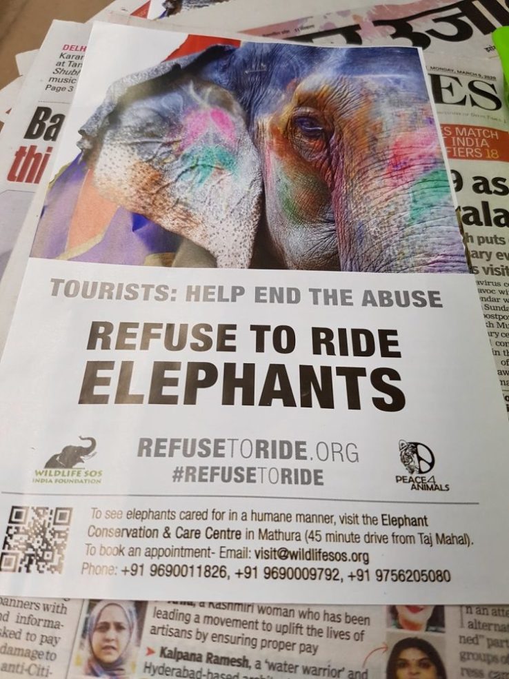 Refuse to Ride Elephants sign by Chelsea. 