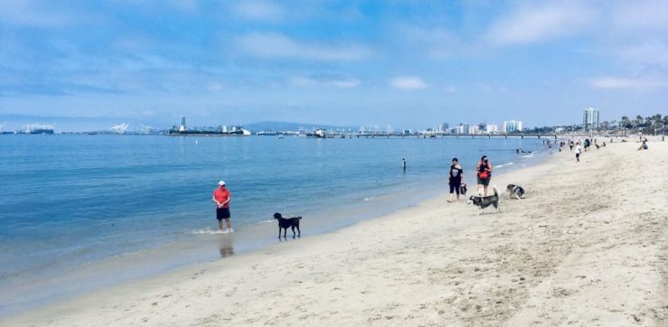 Khashayar and K-D doggie wet their feet at the beach.
