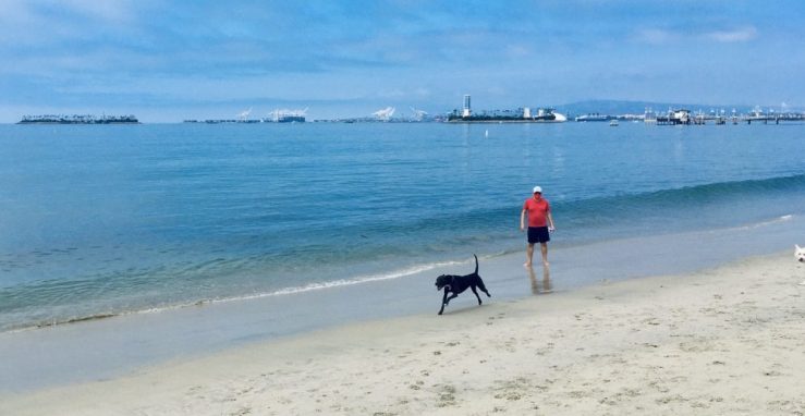K-D runs along beach with Khashayar in tow.