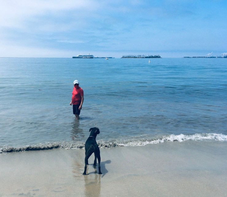 Khashayar continues to coax K-D doggie into water.