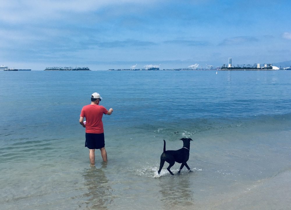 Khashayar coaxing K-D doggie into water some more.