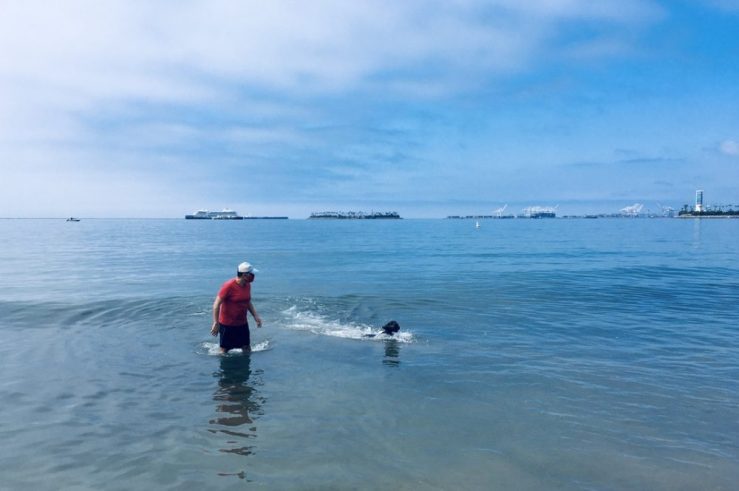 Khashayar looks on as K-D doggie doggie paddles back to shore.