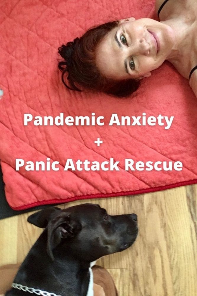 What could be more fun than taking a break from stomach crunches with K-D doggie?