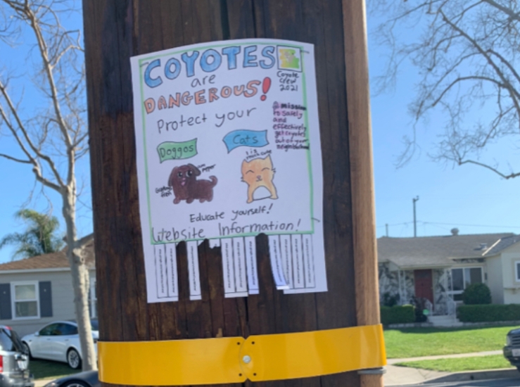 Photo of neighborhood poster by local Girl Scouts.