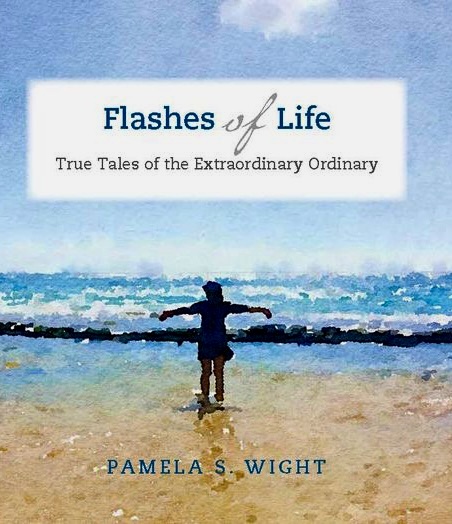 Cover of "Flashes of Life," by Pamela S. Wight. 