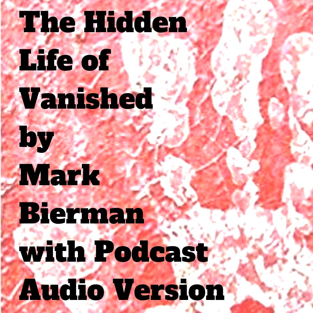 Close up of "Vanished," cover, an action/thriller by Mark Bierman.