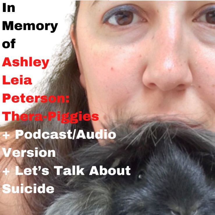 Ashley L. Peterson blogged and wrote about mental health.