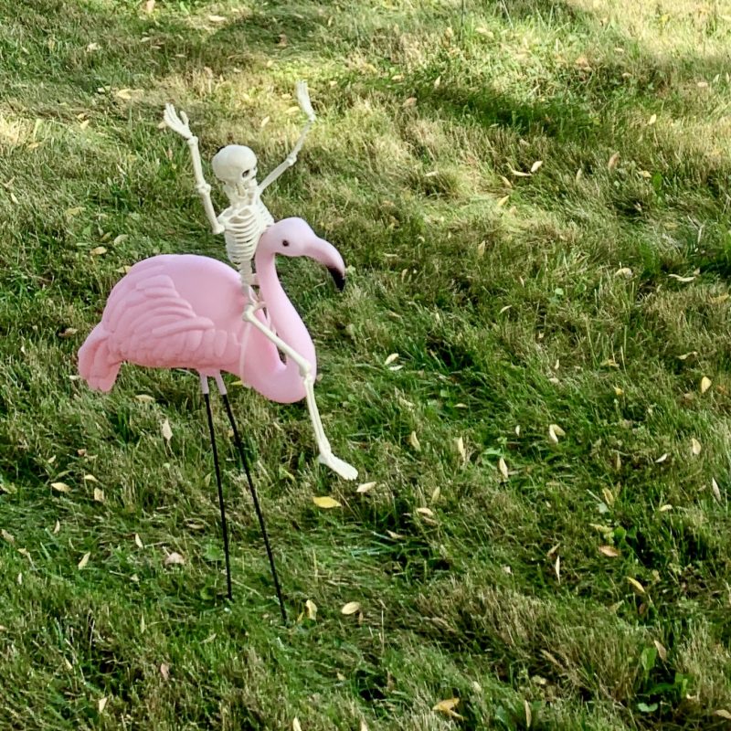 Boo! + Importance of Mixing with Other Writers by Darlene&nbsp;Foster