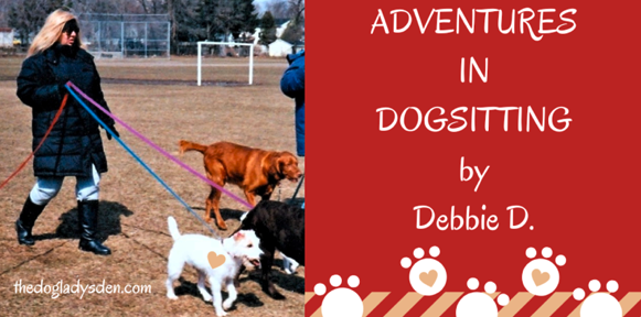 Debbie D. walking many dogs on leashes.