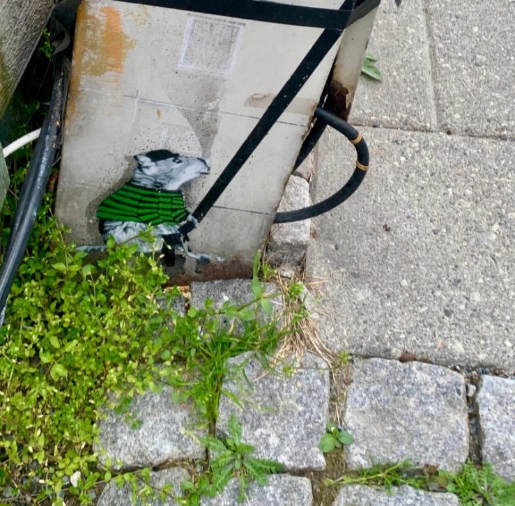Street art of a mouse wearing a green and black striped shirt in Stavanger, Norway.