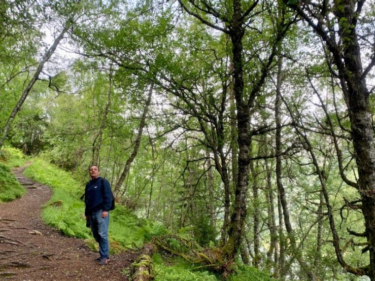 Photo of Khashayar hiking along a forest path in Balestrand, Norway.